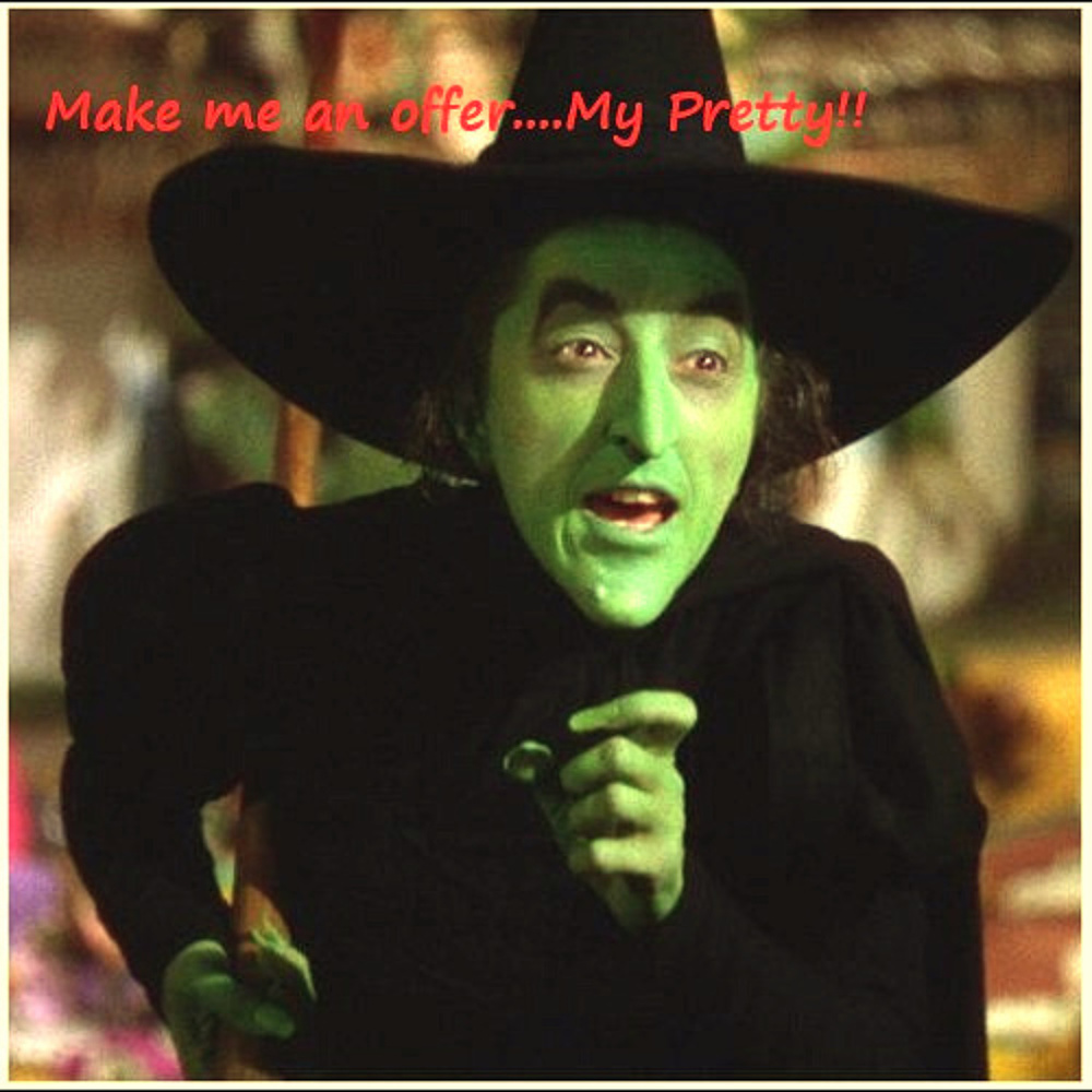 MAKE ME AN OFFER……MY PRETTY!!!